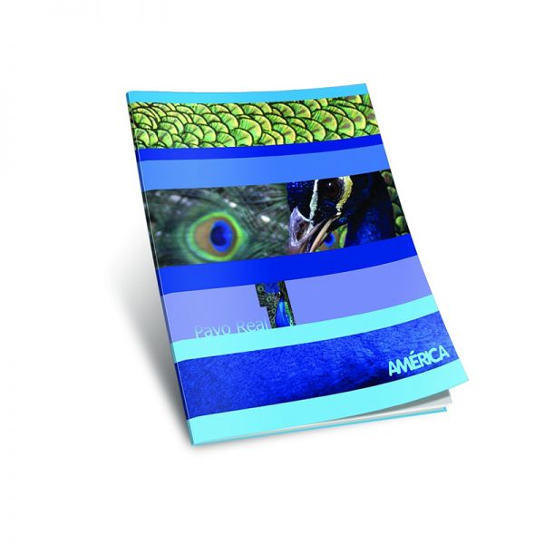 cuaderno-america-liso-tapa-blanda-24-hojas-libreria-mendoza-casa-segal-2