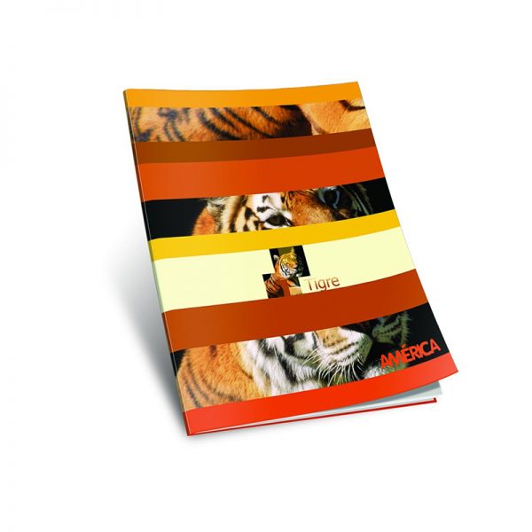 cuaderno-america-rayado-tapa-blanda-86-hojas-libreria-mendoza-casa-segal