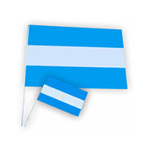 bandera-argentina-cotillon-mendoza-casa-segal Bandera argentina N°1