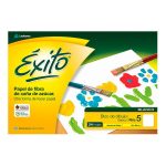 BLOC DIBUJO Nº5 BLANCO ÉXITO