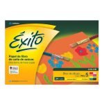 BLOC DIBUJO Nº5 COLOR ÉXITO