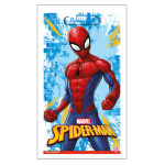 bolsita sorpresa Spiderman Marvel para fiesta infantil