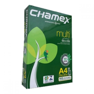 Resma Chamex A4 75 gramos x10 unidades