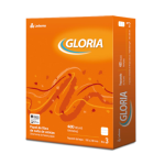 repuesto rayado Gloria 480 hojas