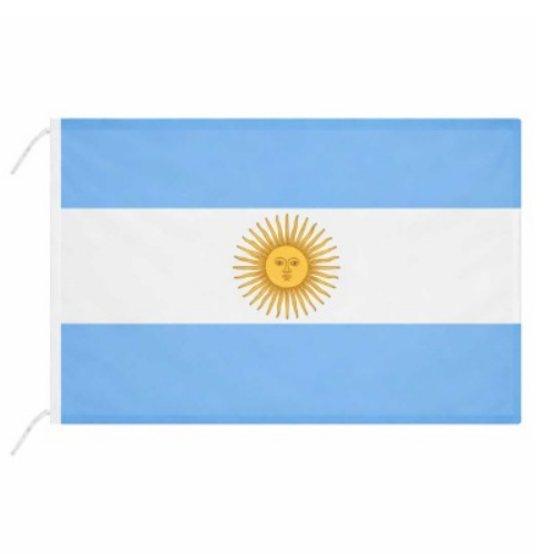 bandera argentina tela 90x60 celeste blanco